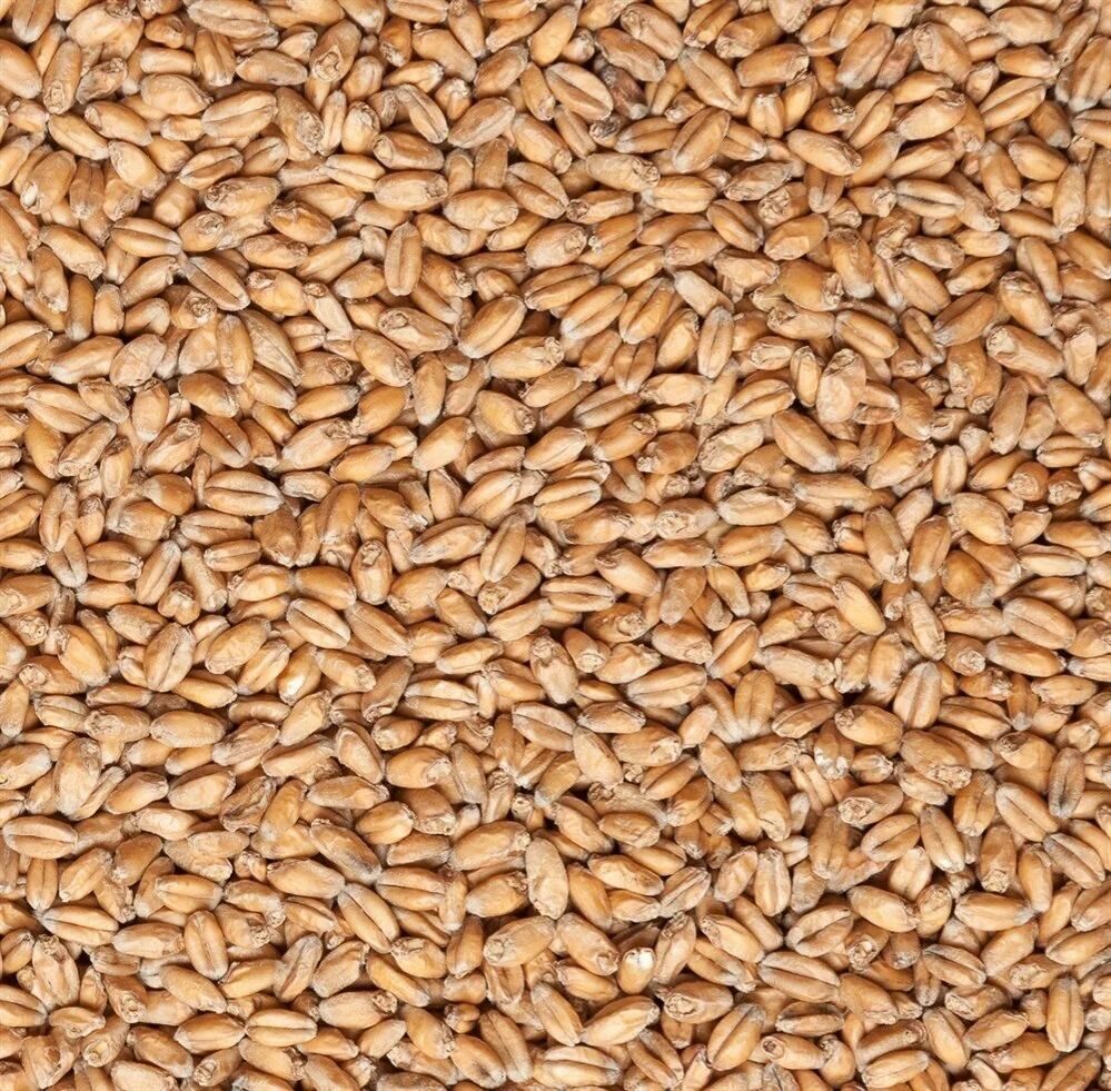 Wheat malt